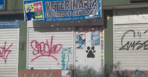 VETERINARIA EL PERRO DE SAN ROQUE BOGOTÁ VETERINARIA EL PERRO DE SAN ROQUE BOGOTÁ